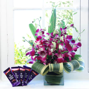 Orchid & Dairy Milk Chocolate